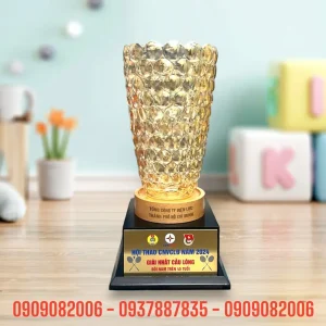 Biểu trưng pha lê (QTTT_PL017)