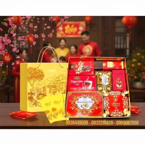 Quà tết Mẫu 19